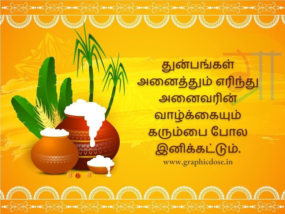 pongal wishes in tamil greetings
