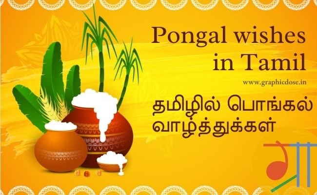 pongal banner